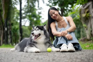 Why Do Dogs Love Tennis Balls Uncovering the Reasons